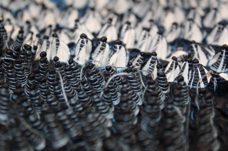 Passion Shibori Tie and Dye 9 Shibori indigo