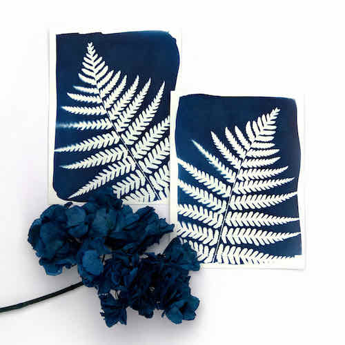 atelier DIY cyanotype id creatives lyn