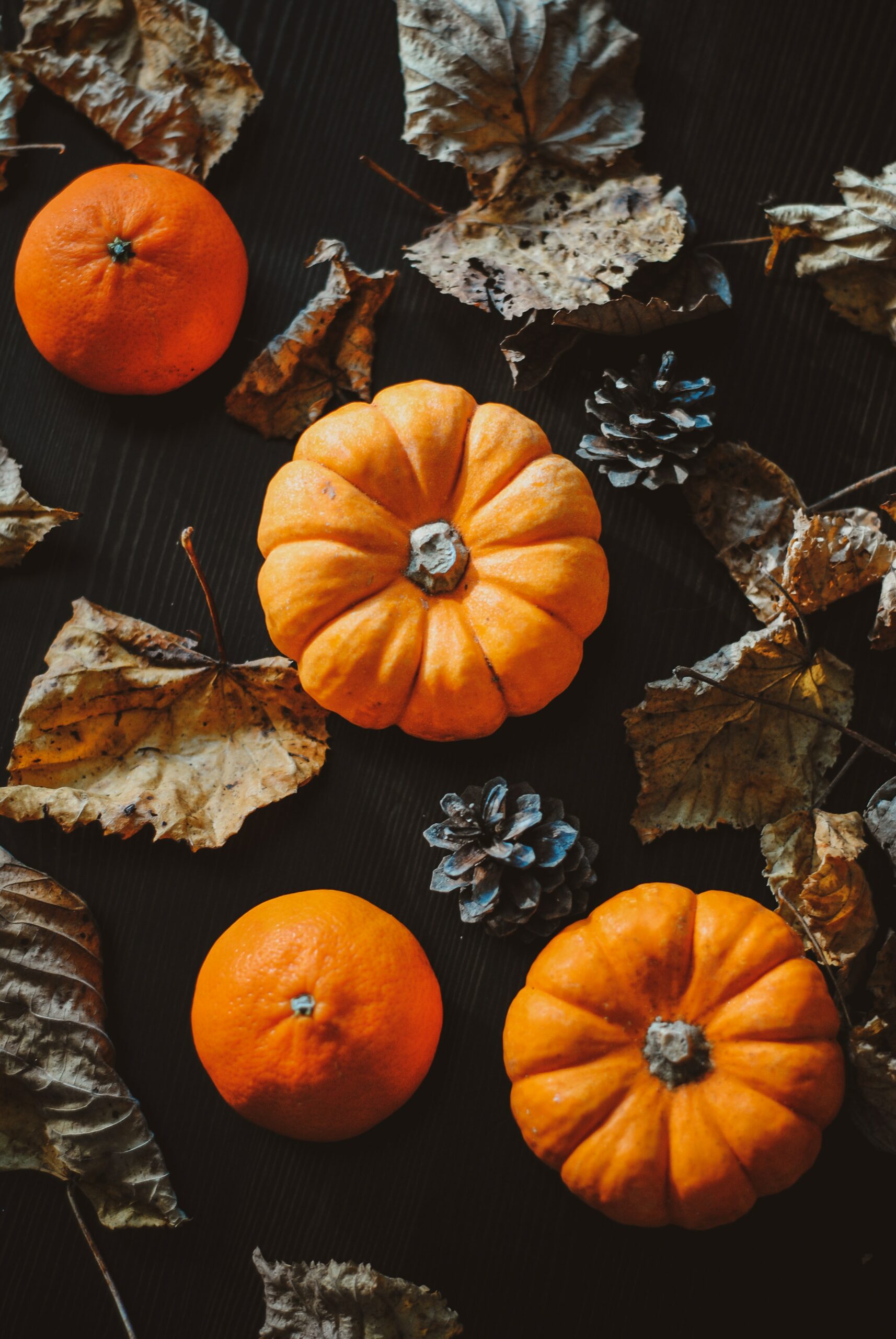 5 idées d'activités pour Halloween