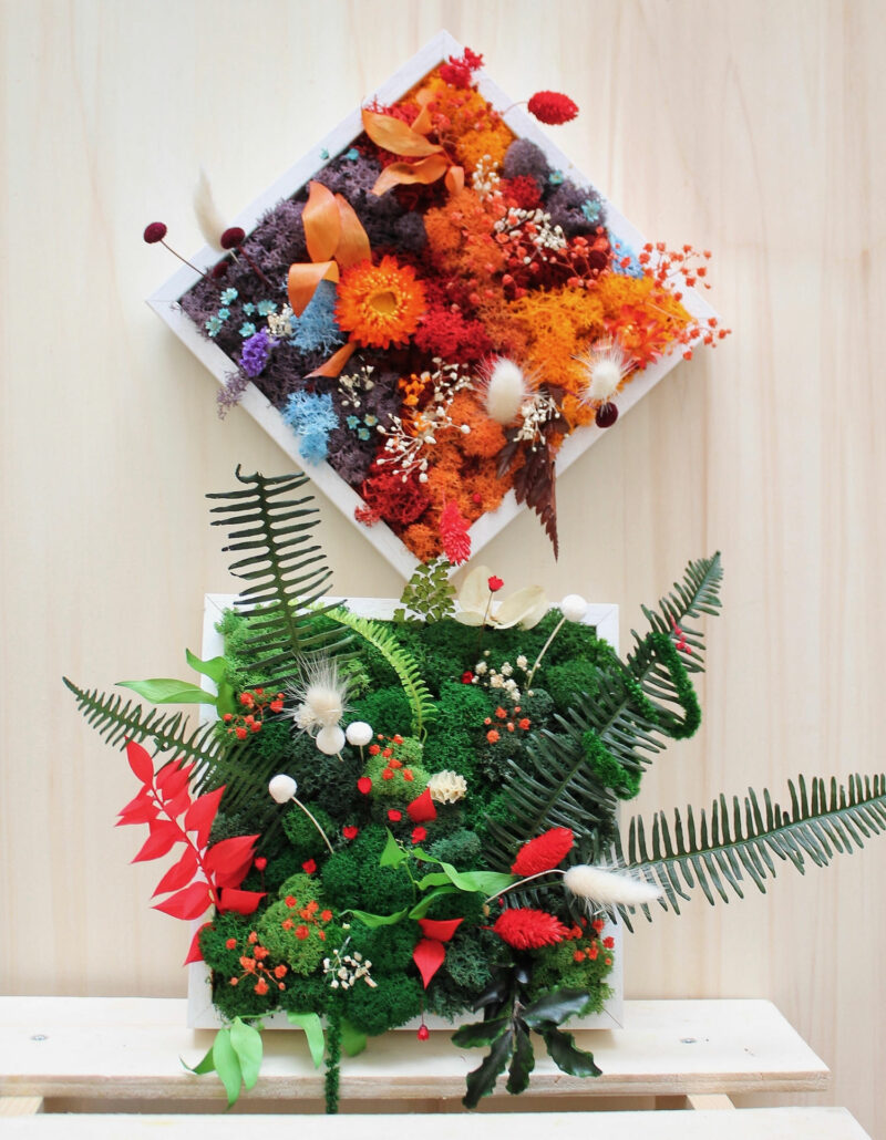 atelier cadre végétal fleurs séchées